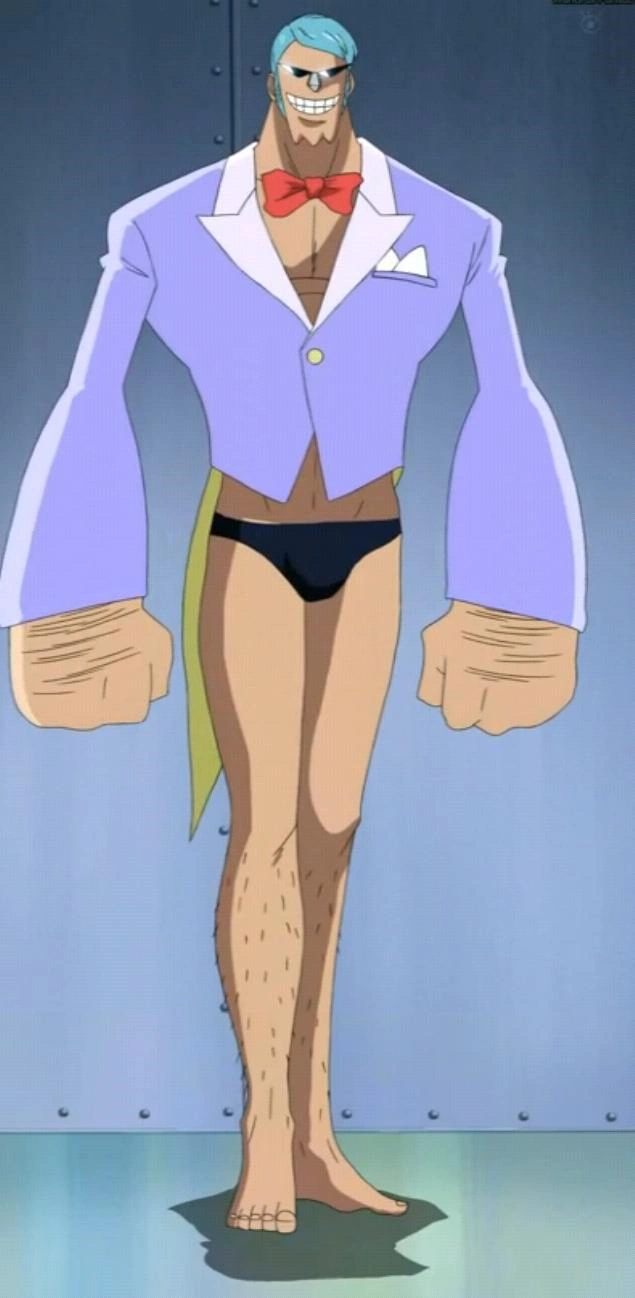 franky one piece relationships franky one piece relationships